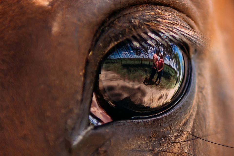 Roberto Luís Fotógrafo