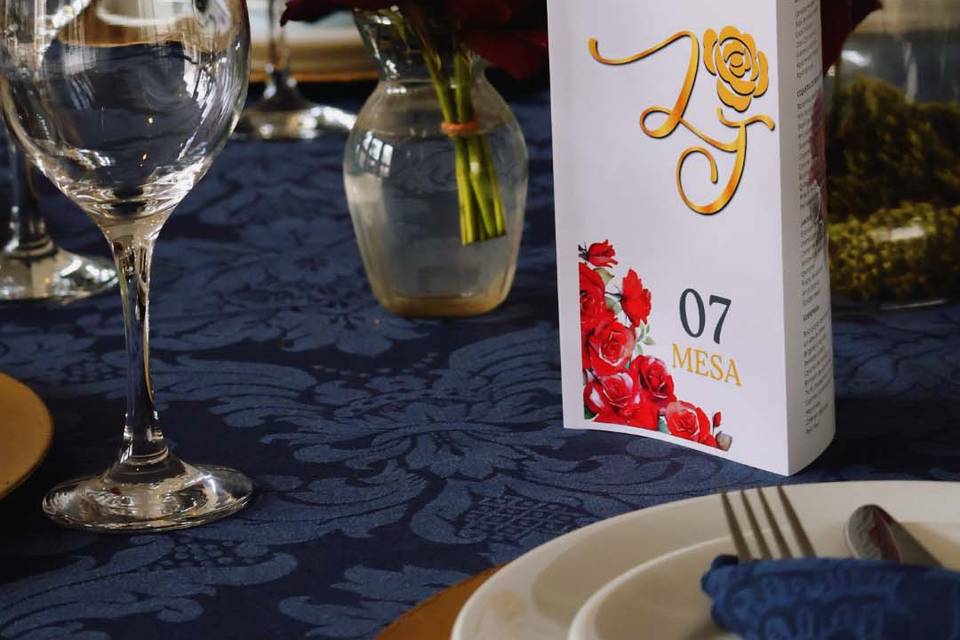 XV anos Luza Jordão