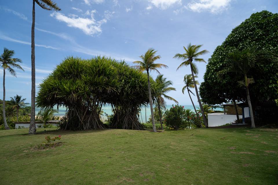 Vista falesia