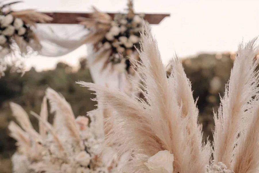 Flores com capim pampas