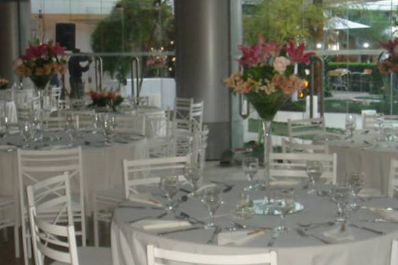 Eventos especiais