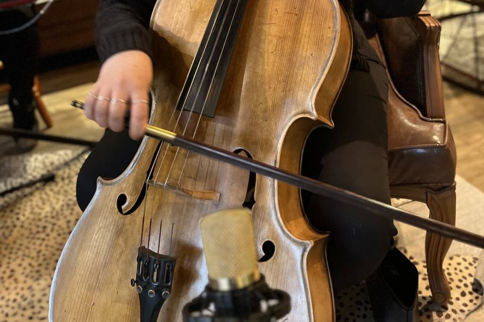 Cello