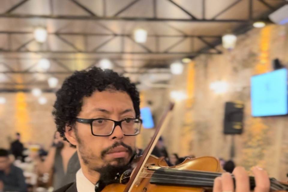 Violino Walking
