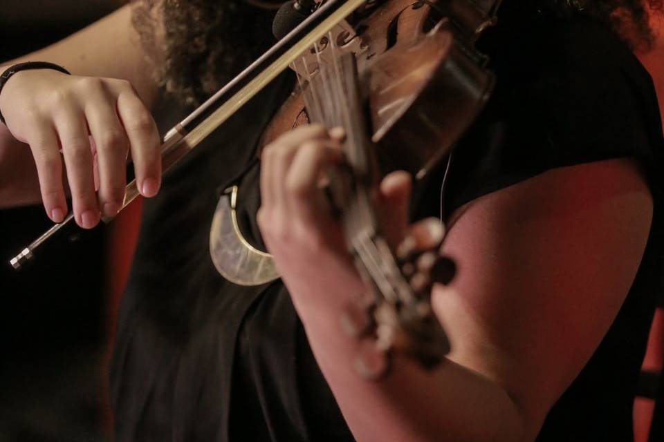 Violino