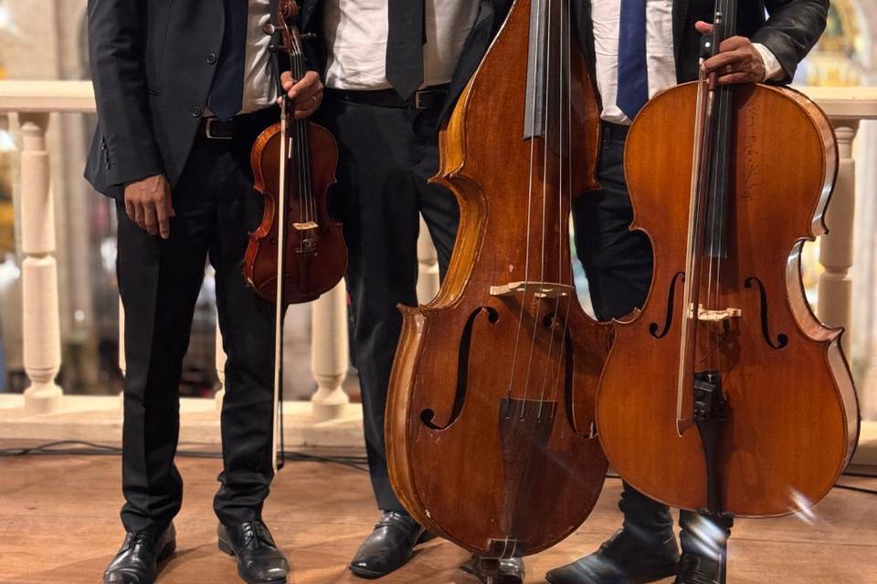 Trio Classic Strings