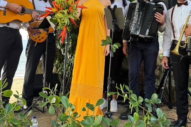 Cerimônia na praia com quintet