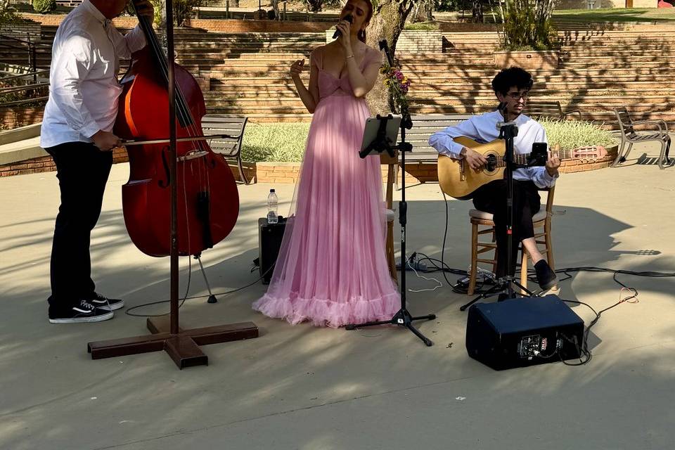 Trio com baixo acústico