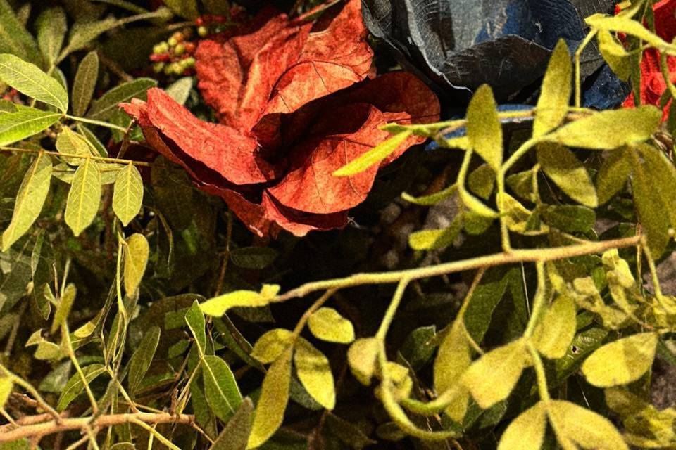 Rusticidade e delicadeza