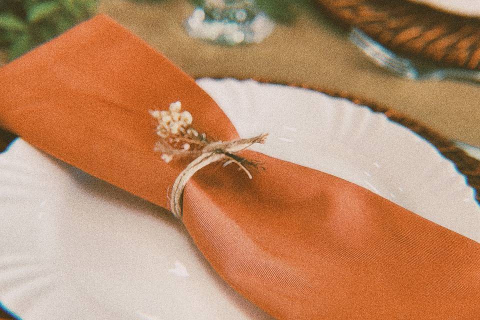 Rusticidade e delicadeza