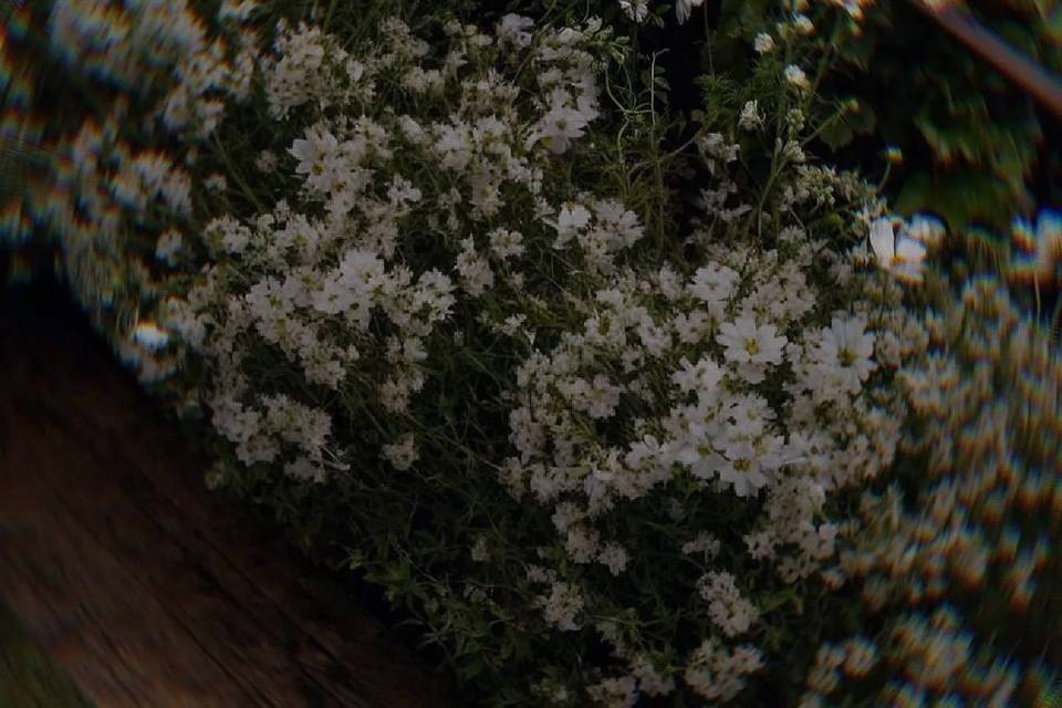 Rusticidade e delicadeza