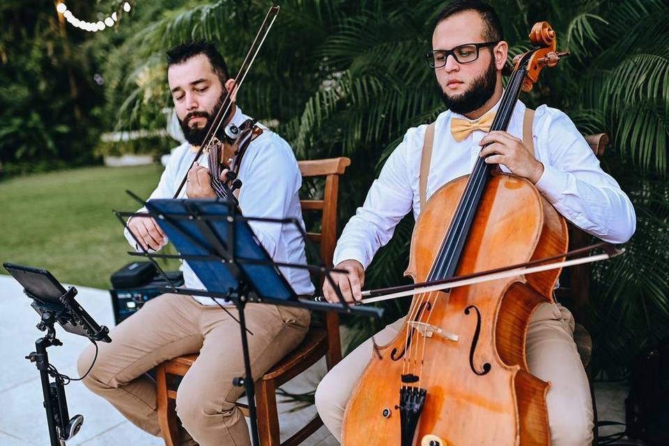 Violino e Cello