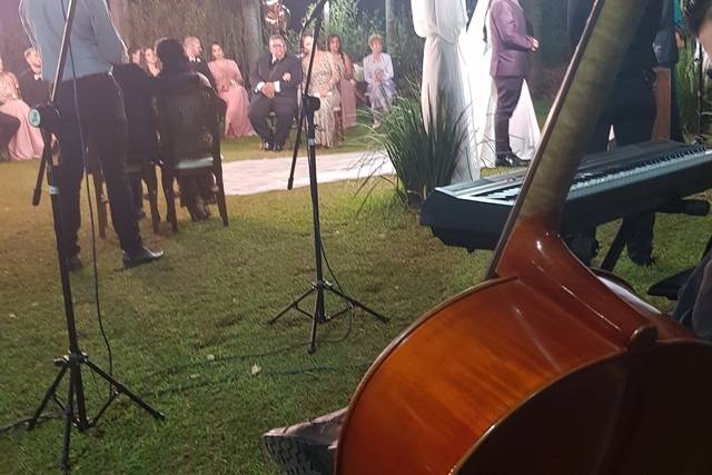 Violoncello