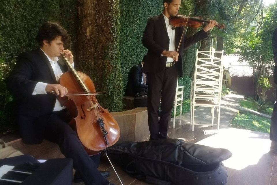 Cello & violino