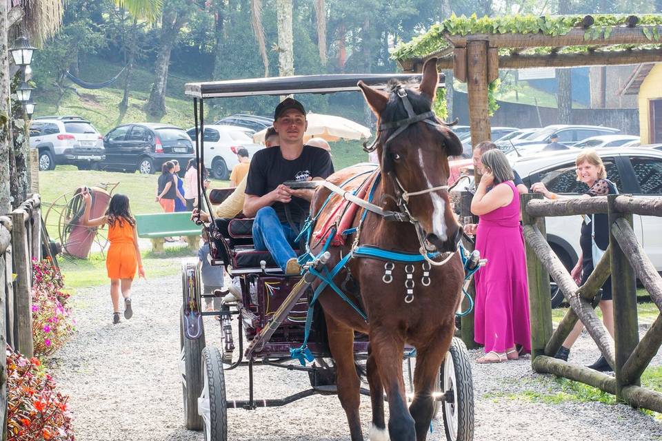 Passeio de charrete