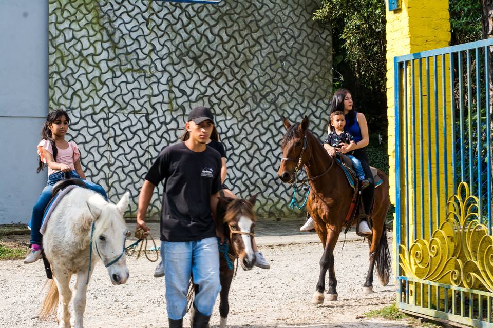 Passeio a cavalo