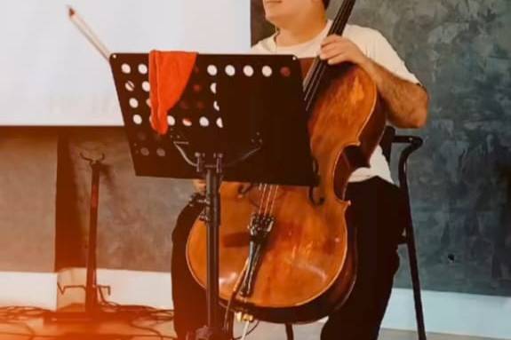 CelloCoelho