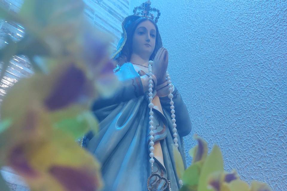 Dulcis Virgo