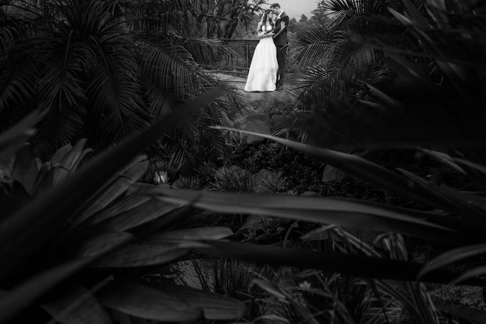 Casamento Elegante em Curitiba