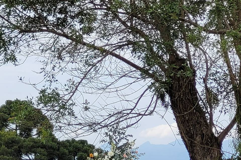 Vista para as montanhas
