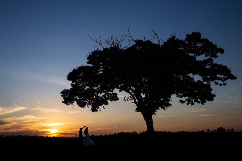 Rodrigo Boiatti Fotografia