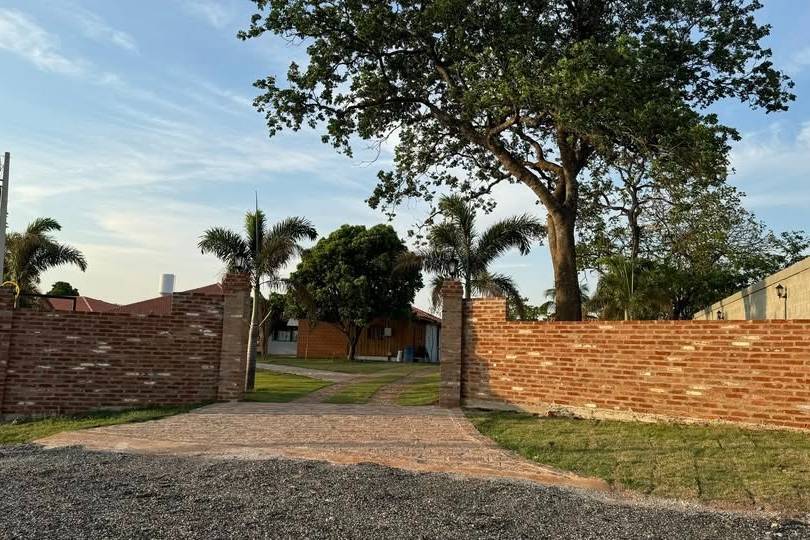 Rancho Olivio Bento