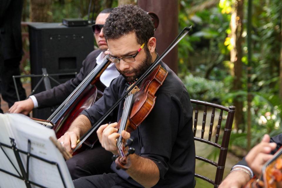 Violino casamento são roque