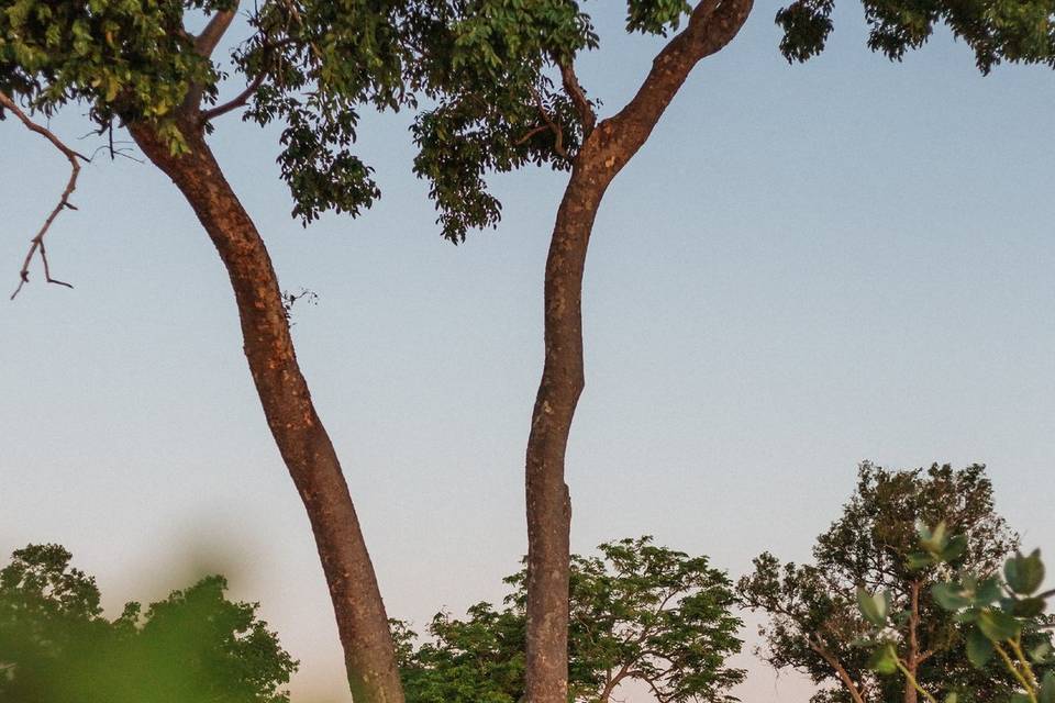 Renata & Marcus