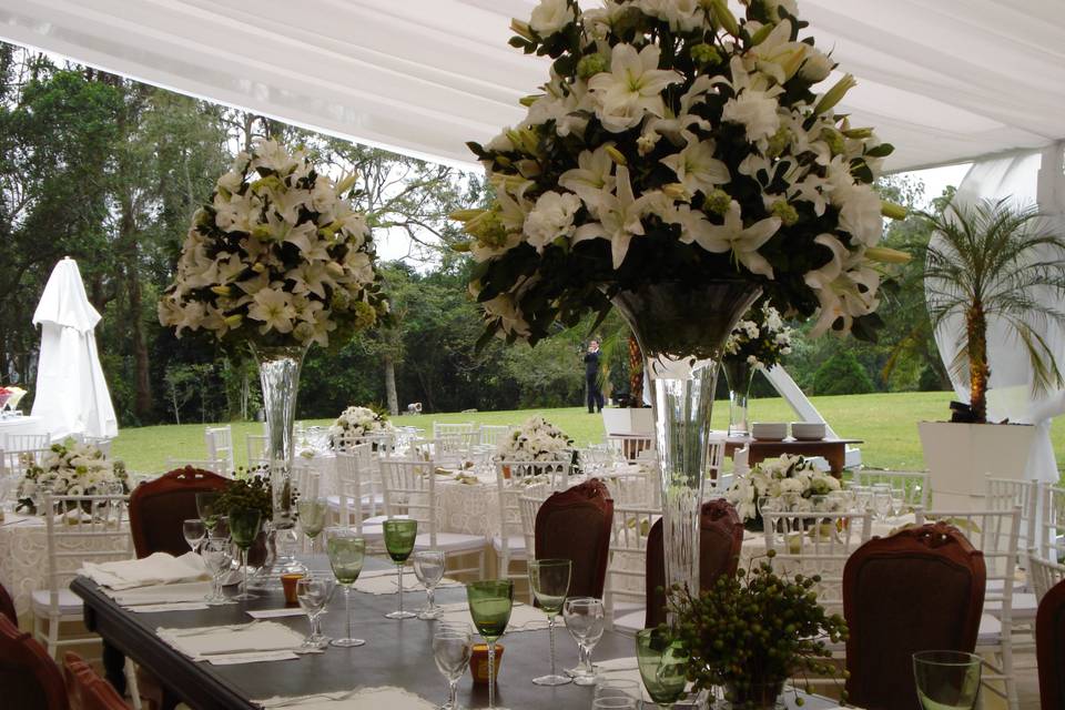 Raiz RJ Eventos