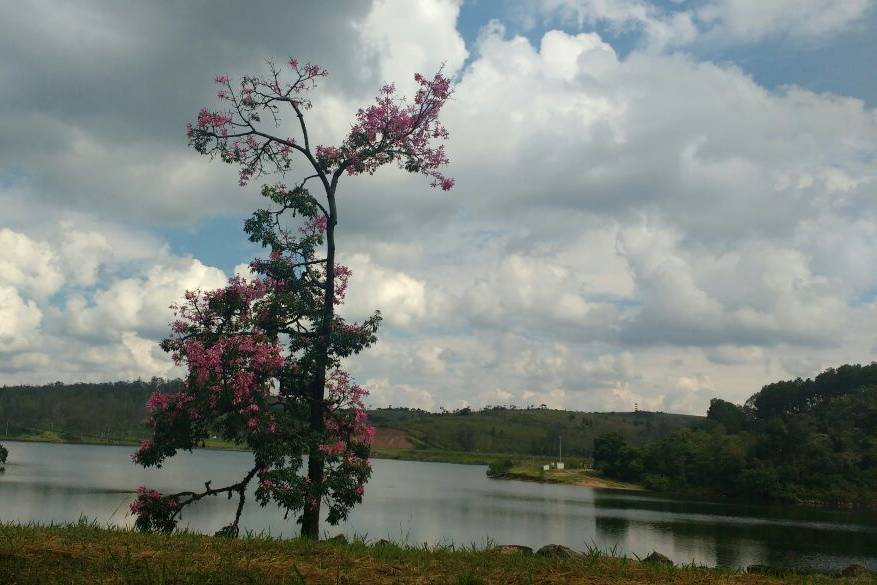 Vista do caminho