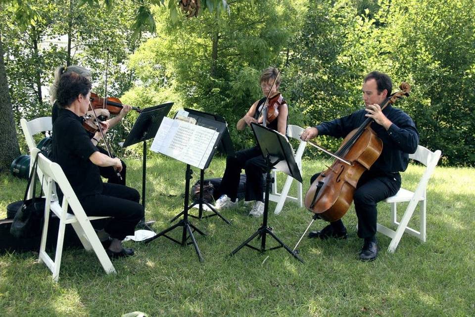 Quarteto cordas