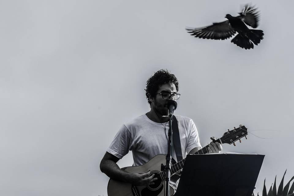 Show acústico gui lopes