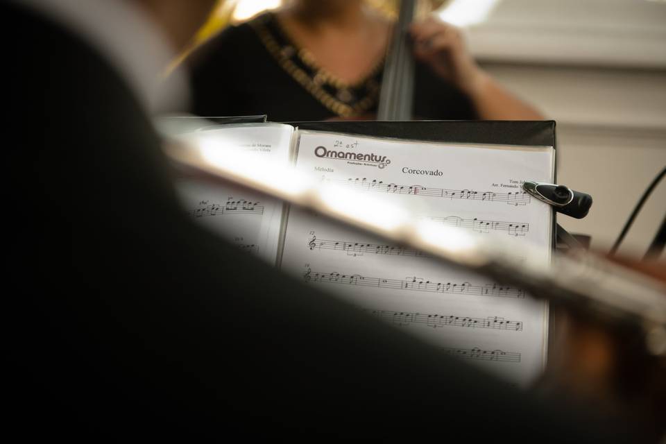 Detalhe quarteto