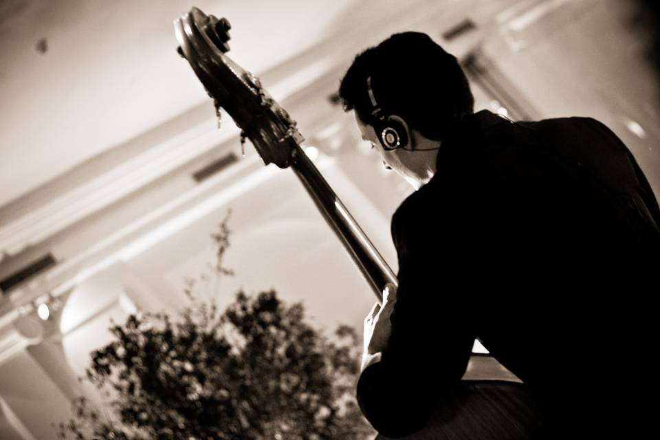 Baixo acústico banda