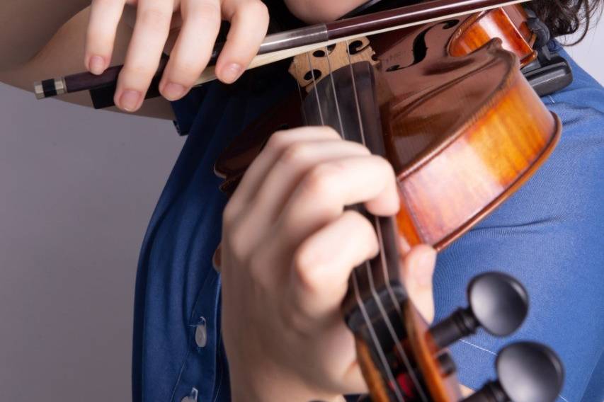 Violino