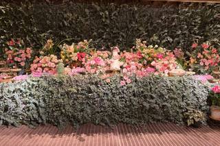 Lu Muniz Eventos