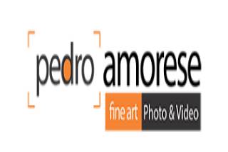 Pedro amorese logo