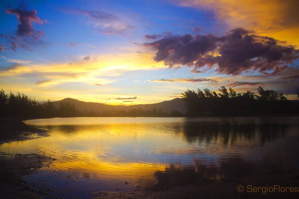 Lagoa da Barrinha