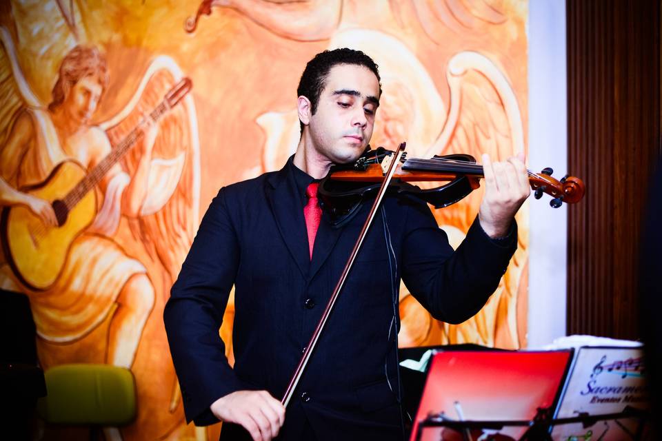 Violino