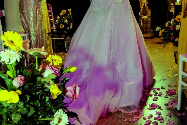 Ricardo Veloso Photografia