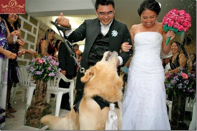 O Pet tb participa da união