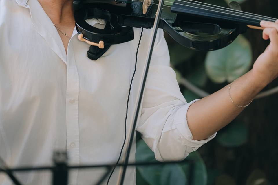 Musica de casamento