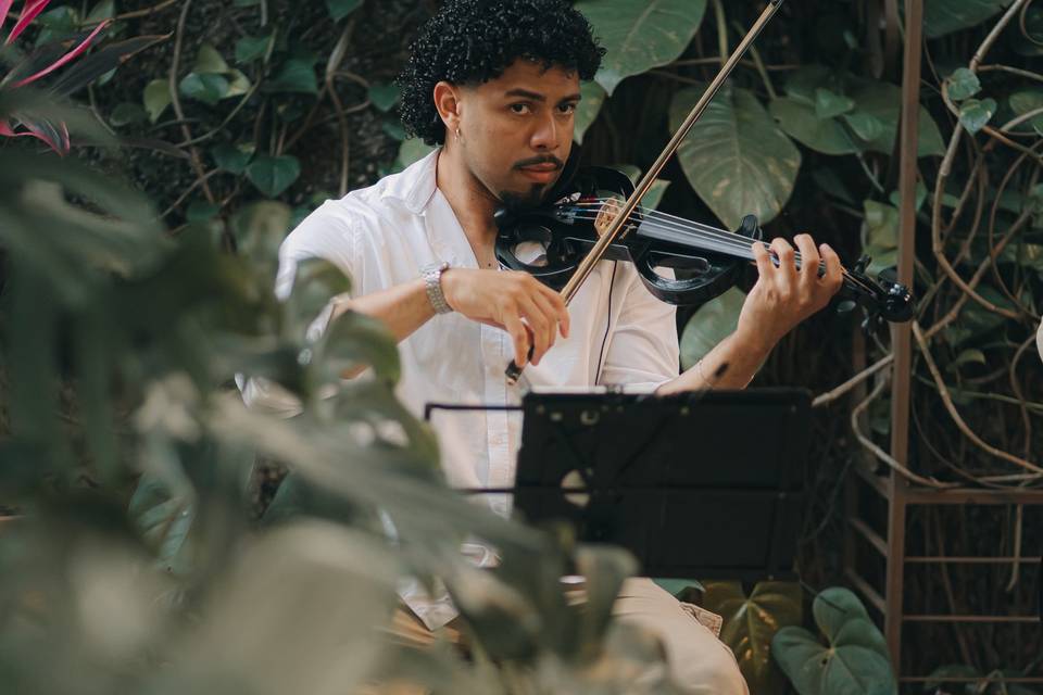 Cerimônia com violino