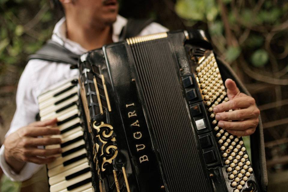 Banda ao vivo de casamento
