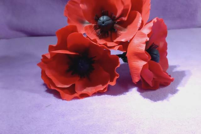 Flores variadas