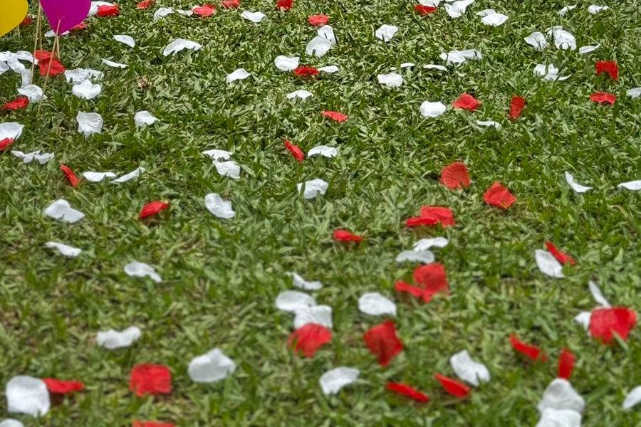 .Celebração com efeito Civil