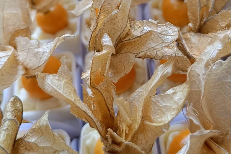 Caixinha de physalis