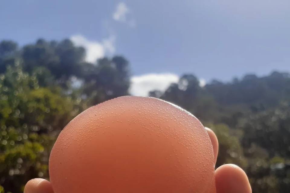 Sabonete