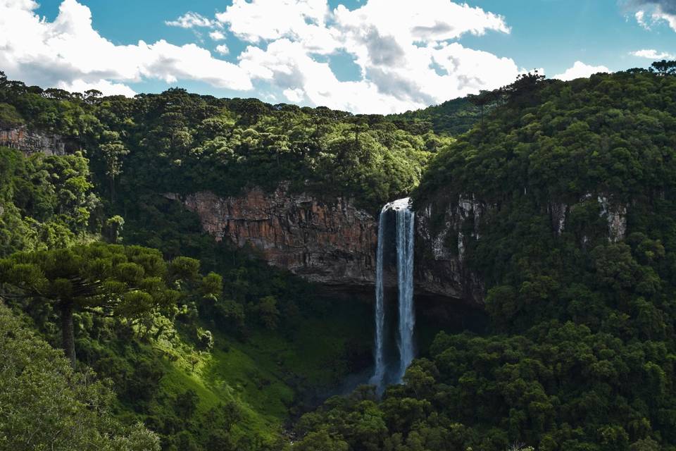 Natureza