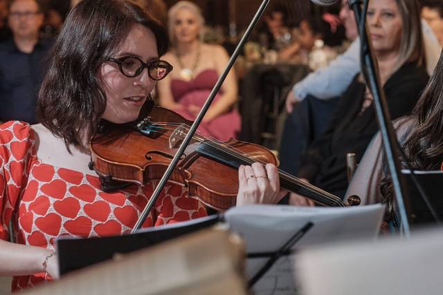 Violino para casamentos