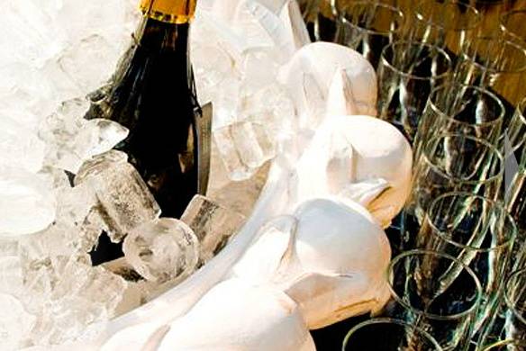 Vinhos e bebidas